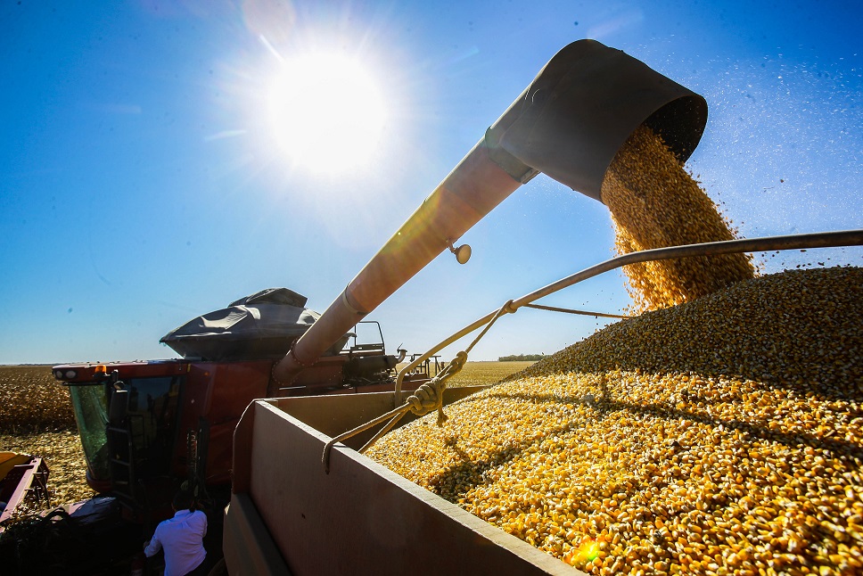 Entenda o impasse entre bancada do agro e governo sobre dívidas rurais
