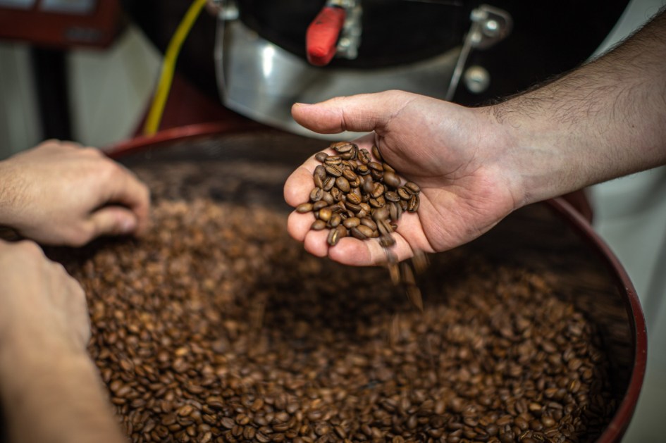 Mão pegando um punhado de grãos de café