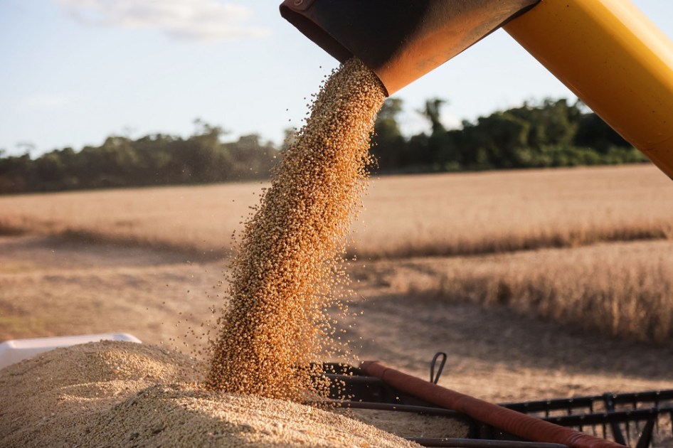 Colheita de soja em propriedade rural em Campo Mourão, na Região Centro-Oeste do Paraná