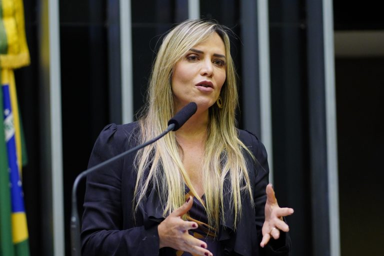 A deputada Celina Leão no plenário da Câmara dos Deputados