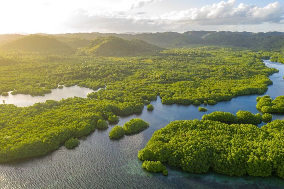 amazonia