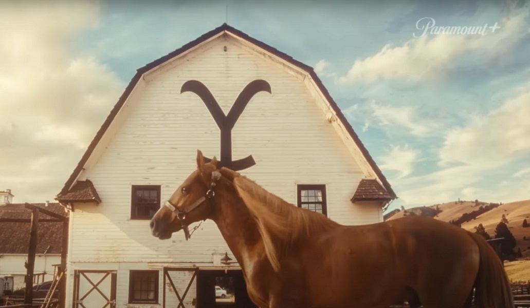 Cavalo Caramelo, símbolo das enchentes do RS, protagoniza chamada da série 'Yellowstone'