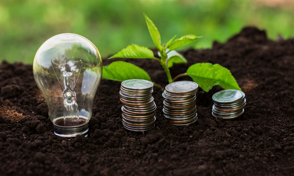 Crédito de carbono: terra, moedas e planta
