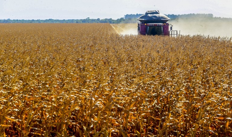 Agronegócio se preocupa com o fenômeno El Niño