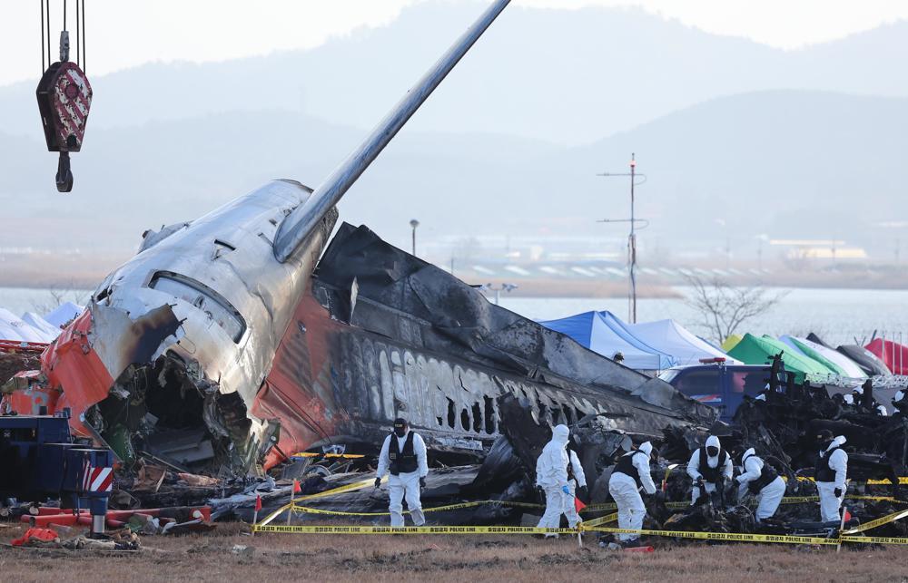 Relatório confirma colisão de pássaros com motor do avião em acidente na Coreia do Sul
