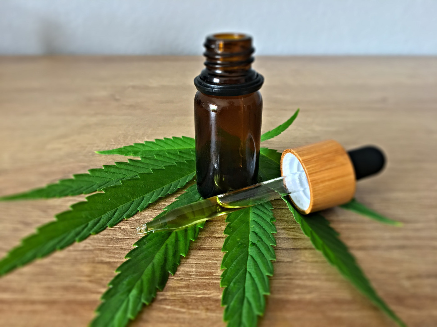 São Paulo veta PL sobre medicamentos à base de cannabis medicinal