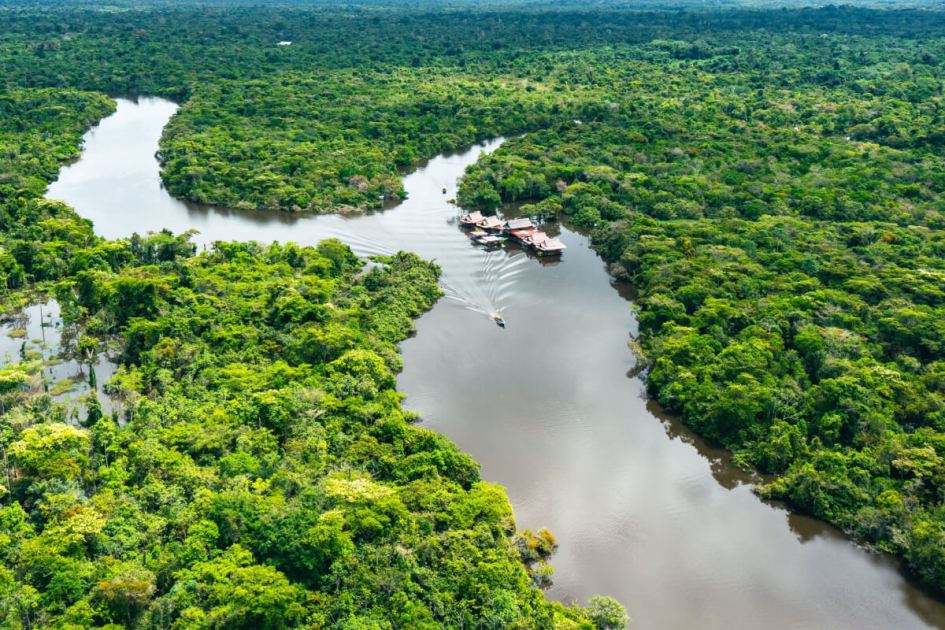 amazonia