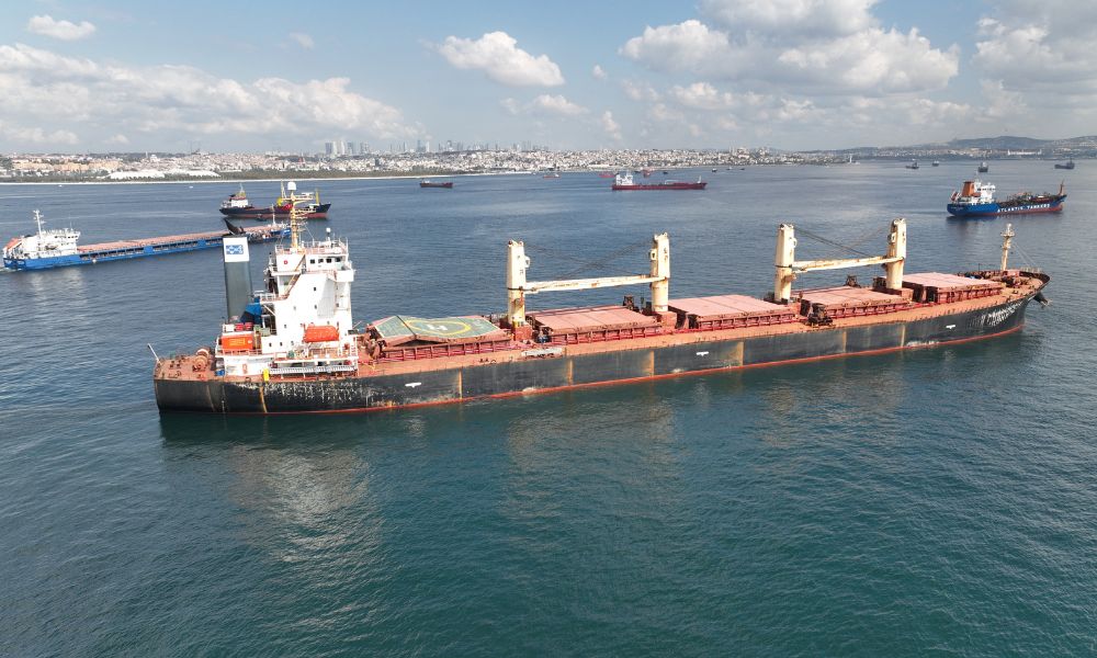 exportação de grãos ucrania