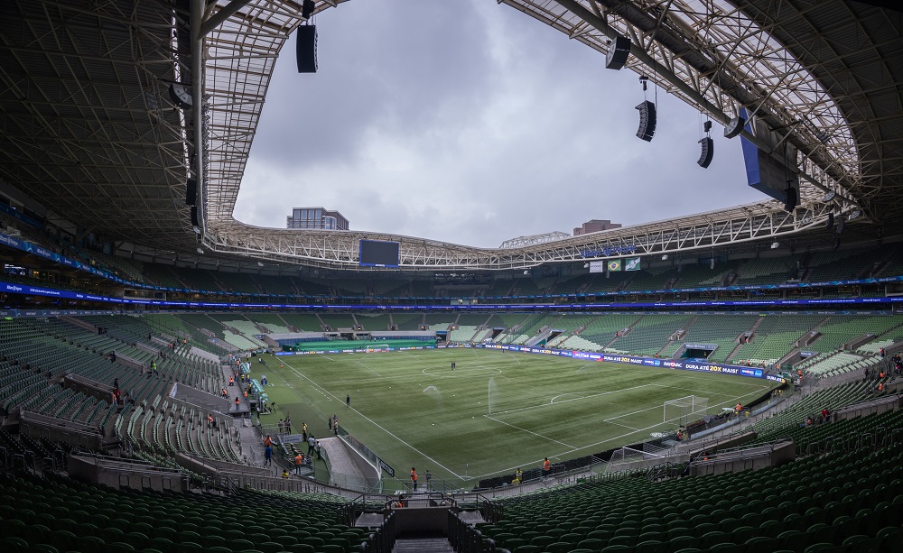 Dudu do Cruzeiro apoia campanha contra gramados sintéticos no Brasil
