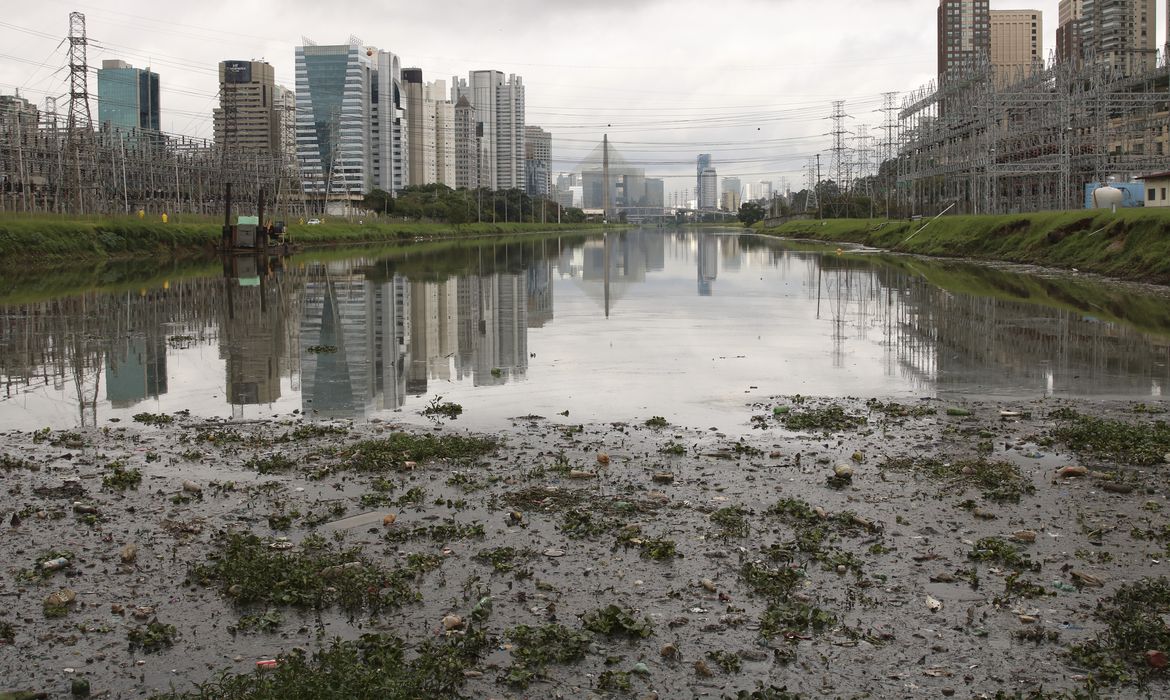 Apenas 7% dos rios da Mata Atlântica tem boa qualidade