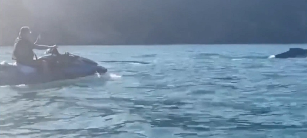 Bolsonaro Jet Ski