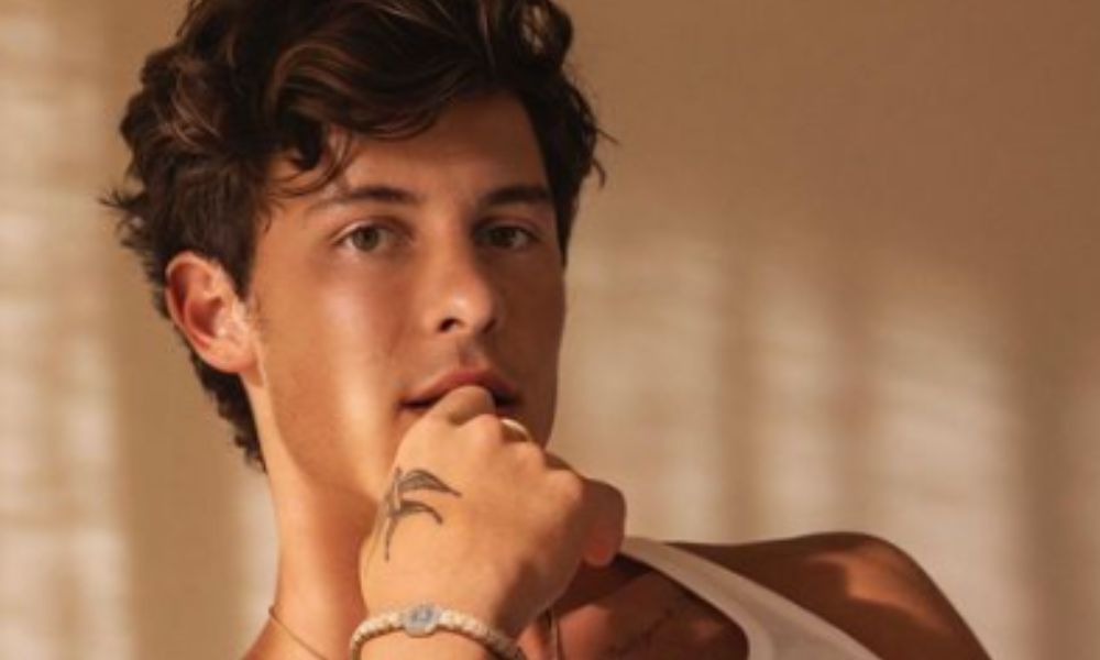 shawn mendes