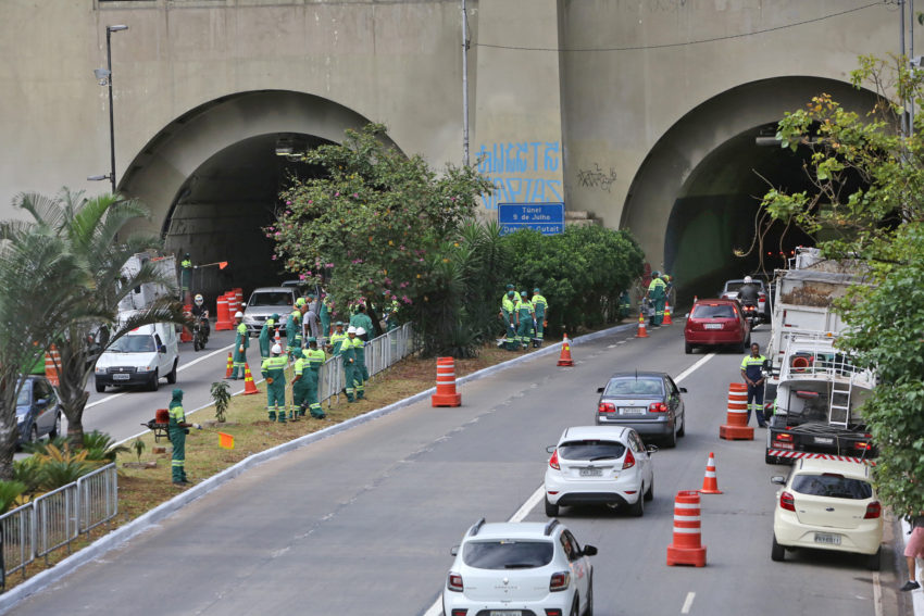 Censo revela desigualdade na arborização urbana no Brasil