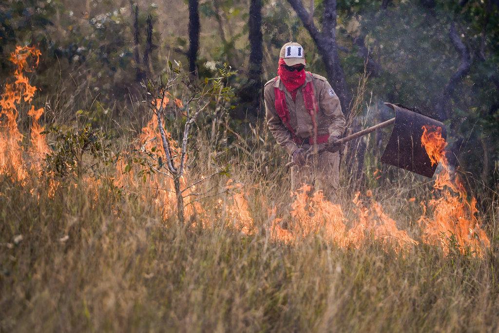 Câmara autoriza crédito para combate às queimadas