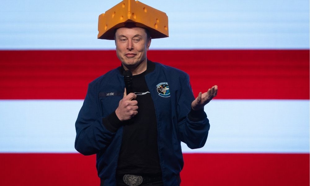 elon musk