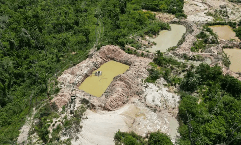 Terra Indígena Kayapó no Pará