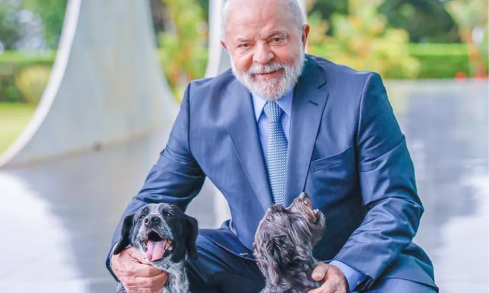 Lula lança programa que amplia cuidados para animais de estimação