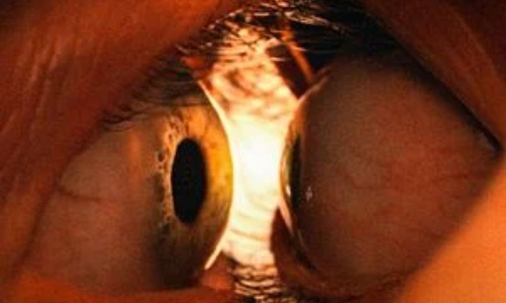 juntos filme de terror