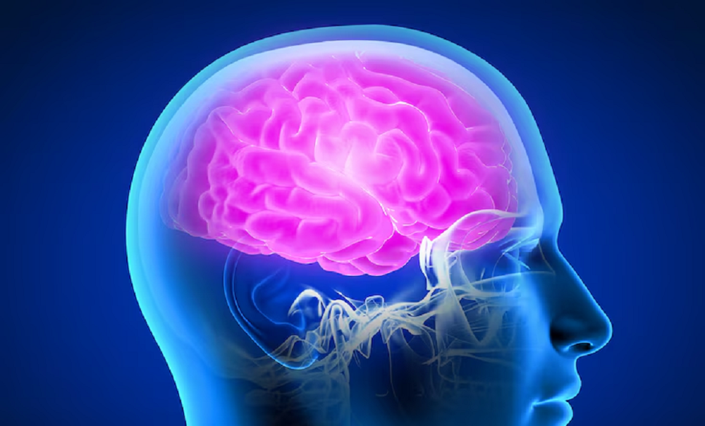 Neurociencia