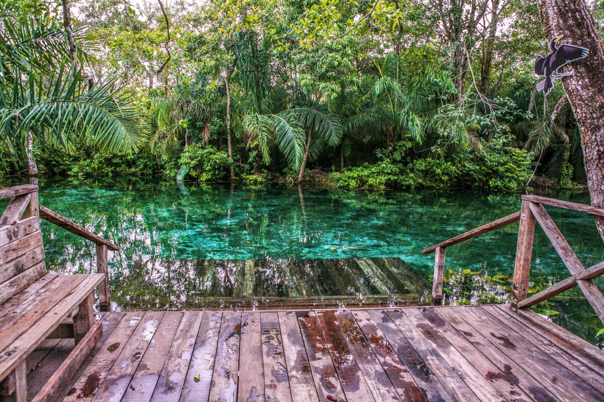Desmatamento ameaça ecoturismo em Bonito, MS