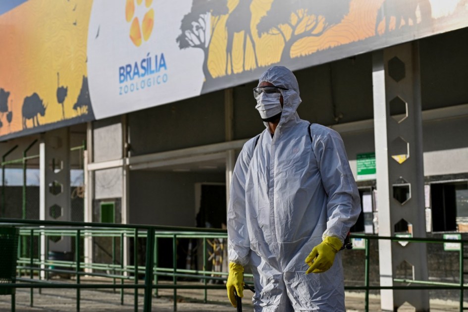 BRASIL-AGRICULTURA-SAÚDE-GRIPE AVIÁRIA-ZOOLÓGICO