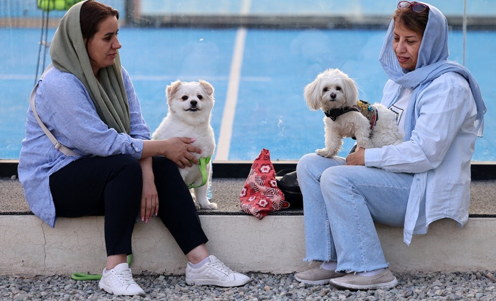 Cidades no Irã proíbem passeios com cães em locais públicos