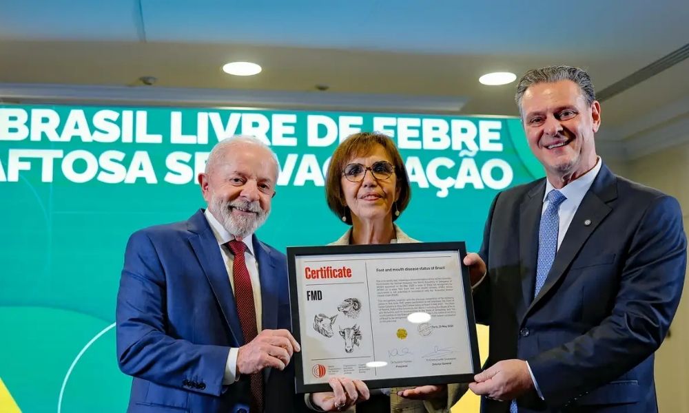 brasil-febre-aftosa