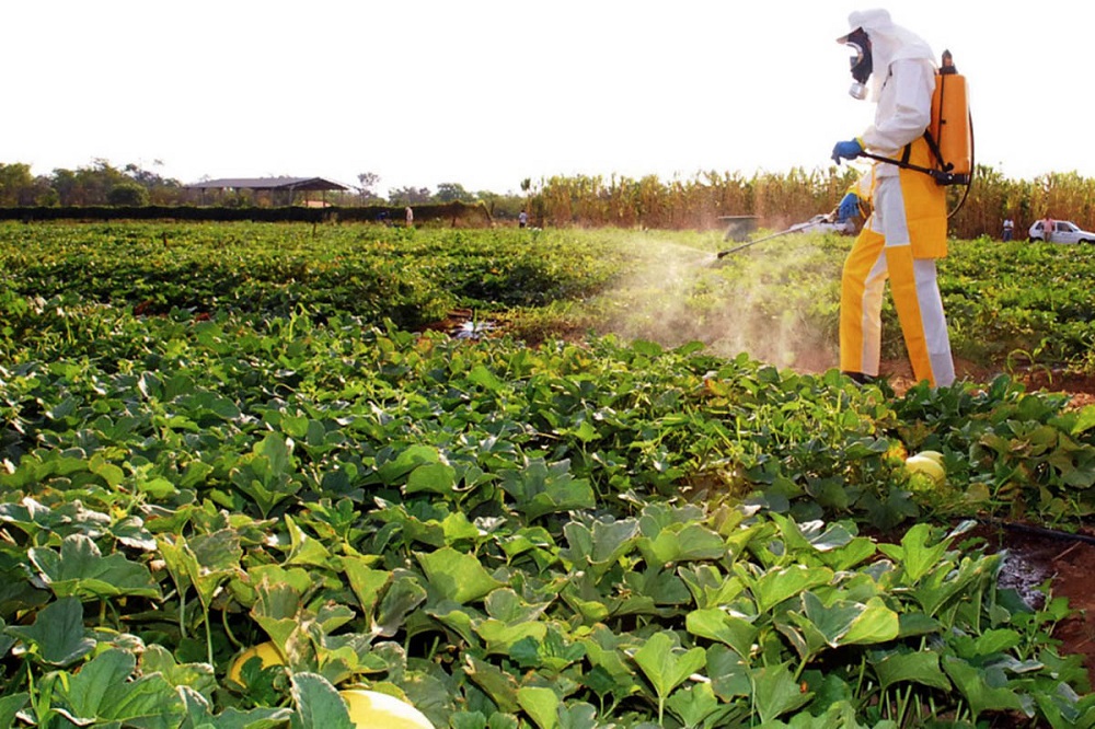 ONGs alertam para risco de câncer por uso de glifosato