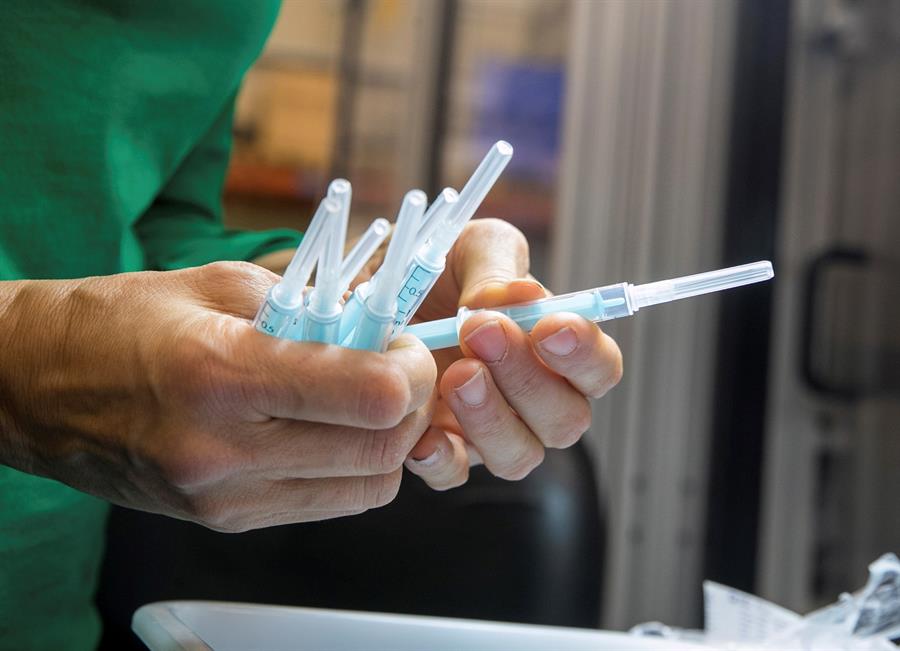 Nova vacina contra Zika tem resultados promissores em testes com camundongos