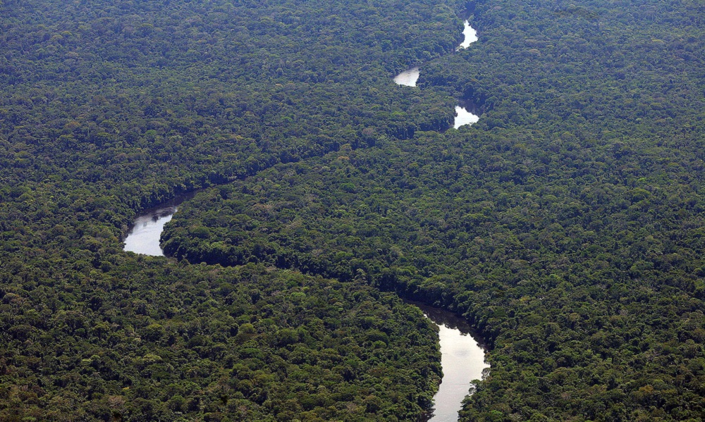 Amazônia
