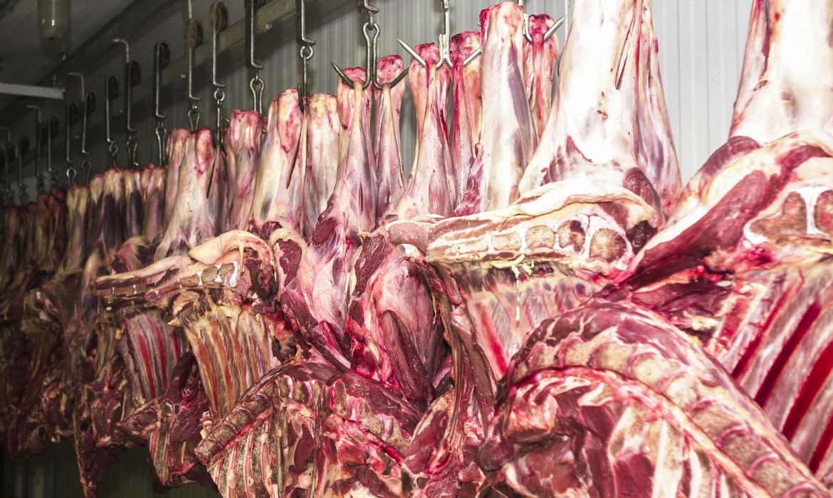 Impacto das tarifas de Trump reduz exportações de carne bovina brasileira em 80% em três meses