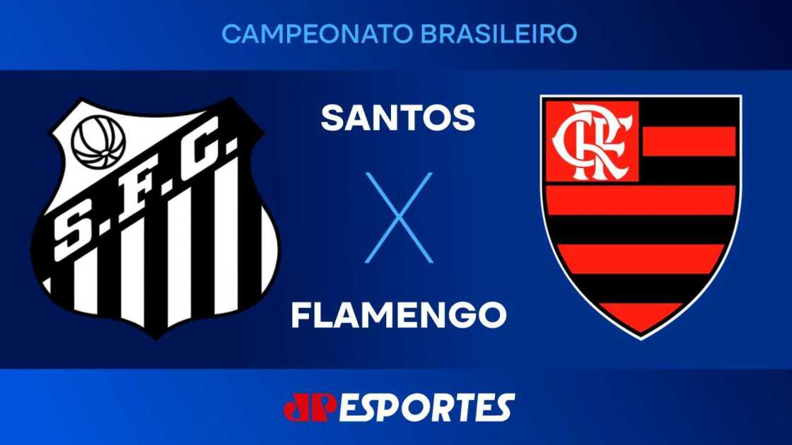 santos x flamengo