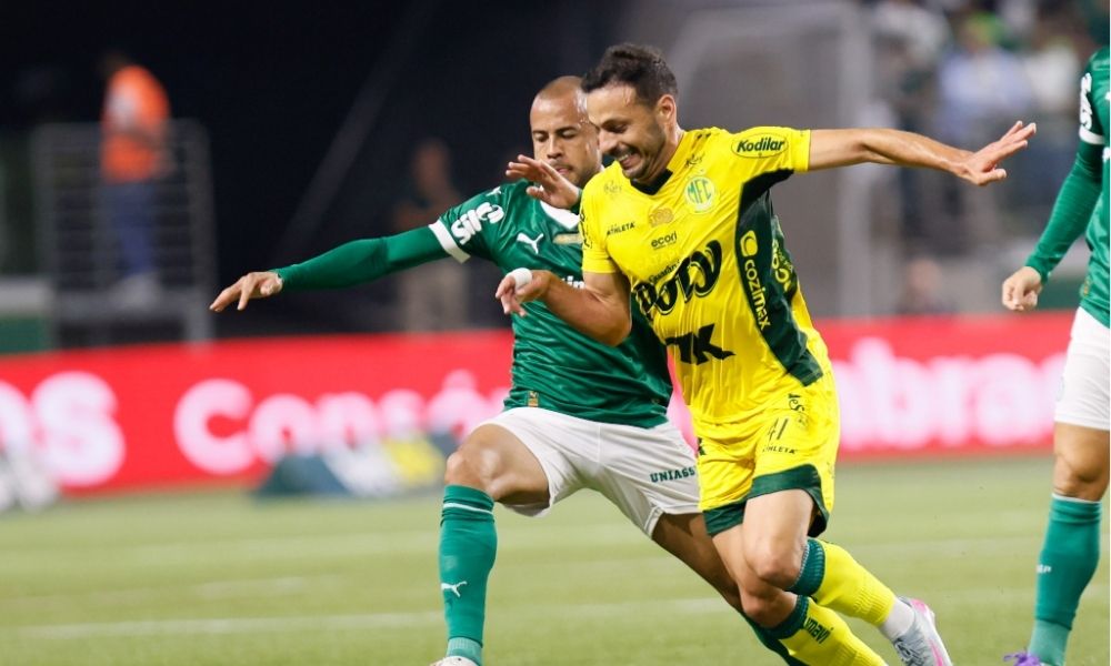 palmeiras e mirassol
