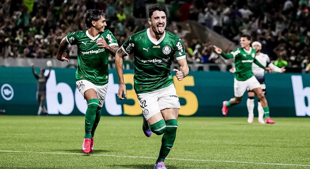 palmeiras capa