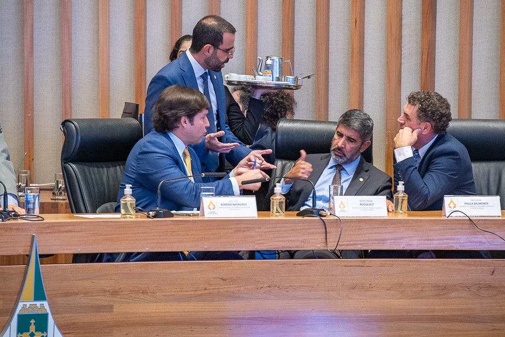Deputado distrital propõe criação de cemitério e crematório para pets no Distrito Federal