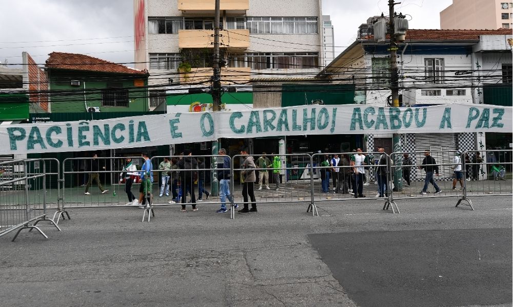 palmeiras