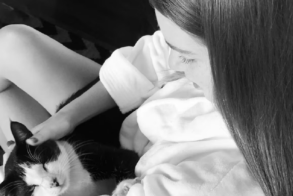 Marina Ruy Barbosa pede ajuda para encontrar seu gato desaparecido