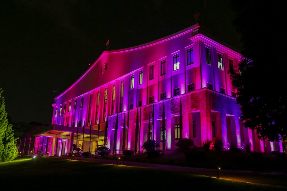 Palácio dos Bandeirantes ficou rosa e azul durante lançamento do movimento SP por Todas