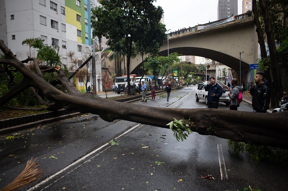 Temporal provoca estragos, cancela voos e deixa milhares sem luz em São Paulo