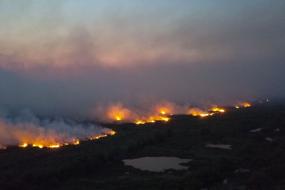 incêndios florestais