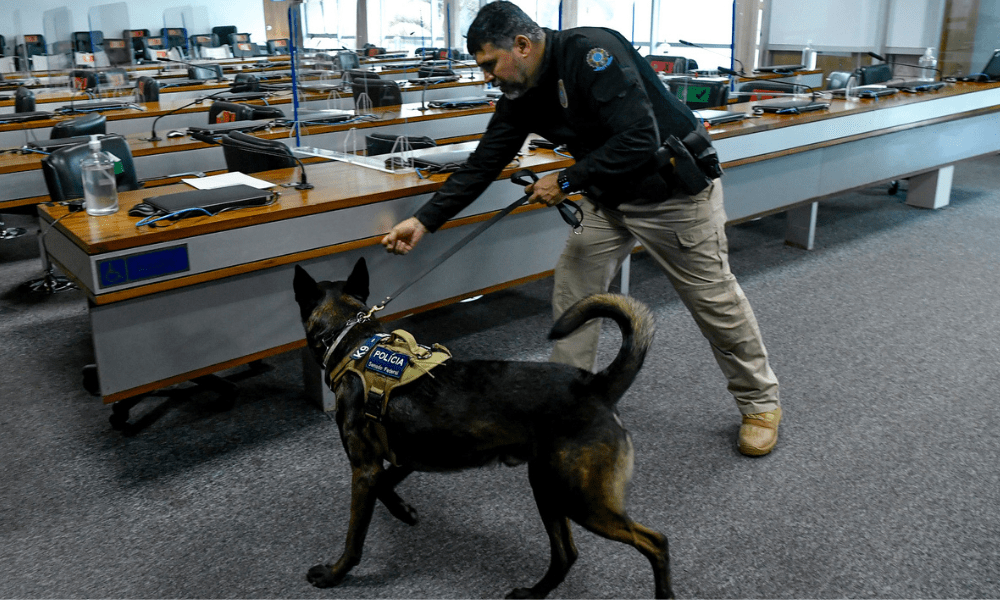 A Polícia Legislativa do Senado utiliza cães detectores, mais conhecidos como farejadores, para fazer varredura de armas e explosivos. O policial Floriano Pinheiro, da Secretaria de Polícia Legislativa do Senado Federal (SPol), conduz o cão Barth na operação. Foto: Geraldo Magela/Agência Senado