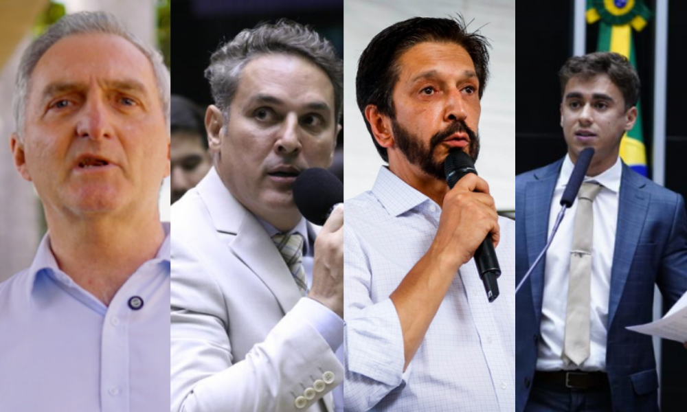 Renato Bolsonaro, Coronel Zucco (PL-RS), Ricardo Nunes (MDB) e Nikolas Ferreira (PL-MG) / (Montagem) 
