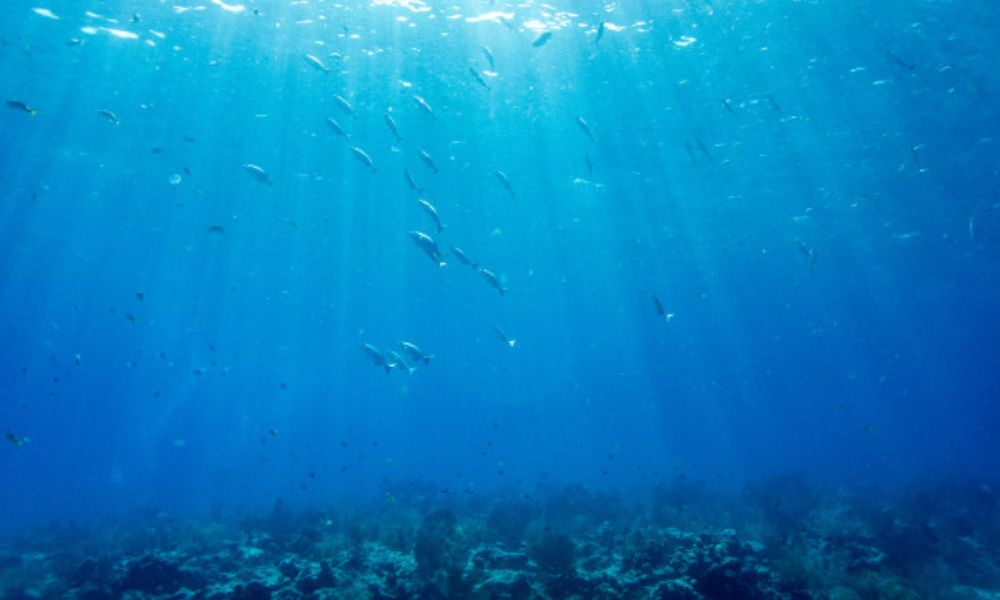 temperatura dos oceanos