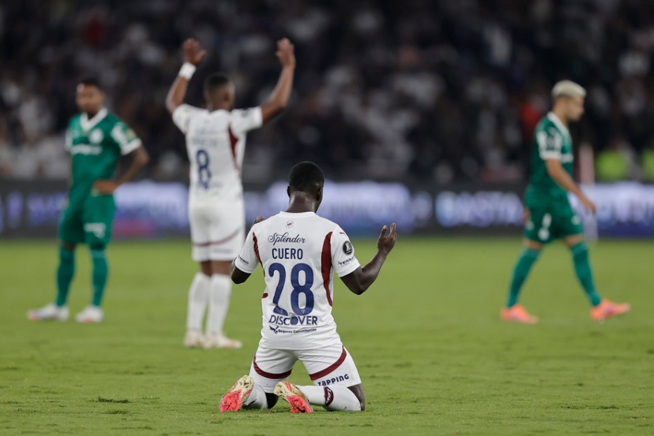 LDU