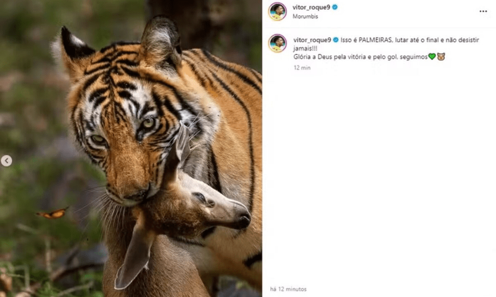 Vitor Roque publica imagem homofóbica após vitória do Palmeiras sobre o São Paulo pelo Campeonato Brasileiro