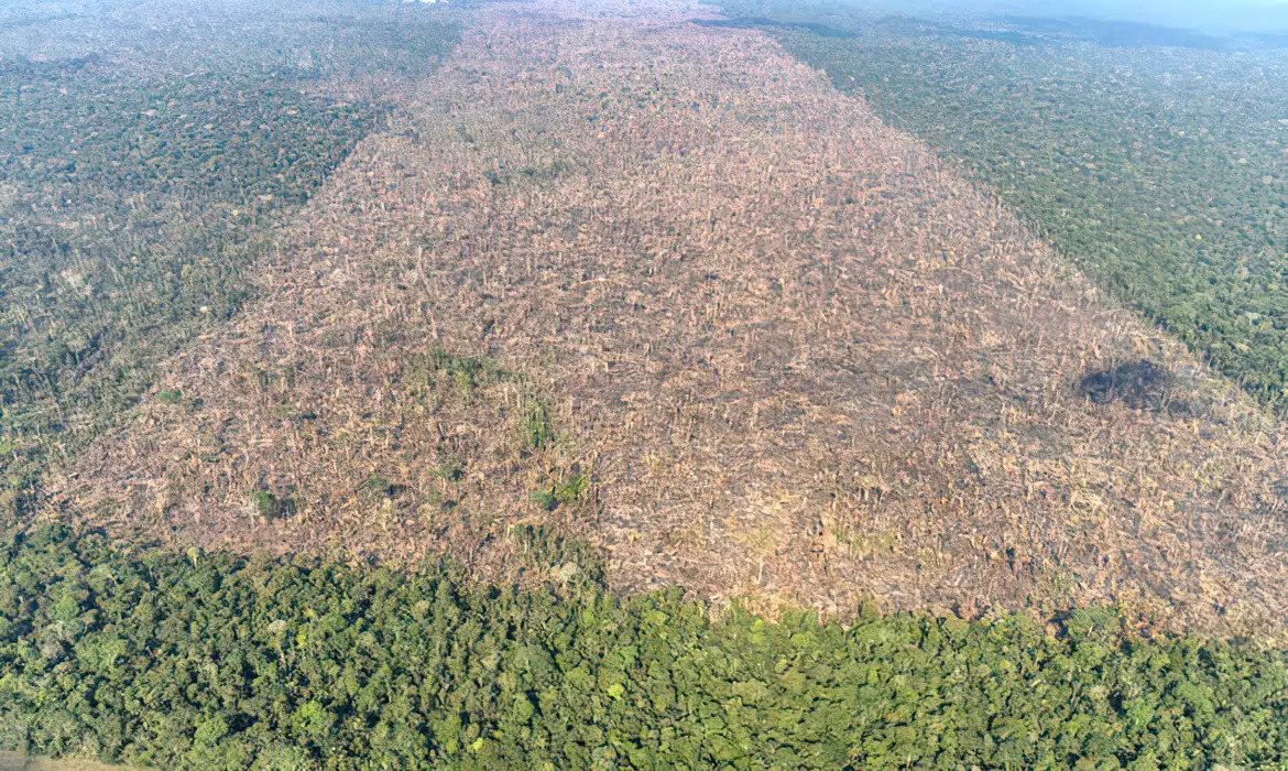 Desmatamento e mudanças climáticas lideram preocupações ambientais no Brasil, mostra pesquisa