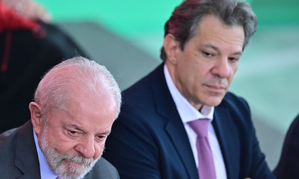 fernando haddad (3)