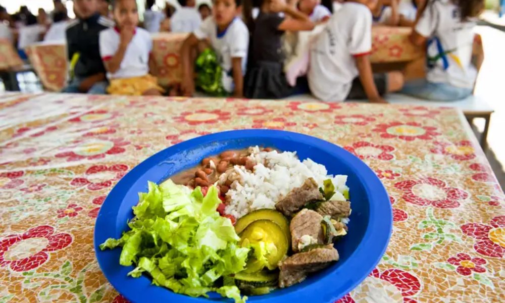 Merenda escolar melhora aprendizado, gera renda e empregos para a comunidade