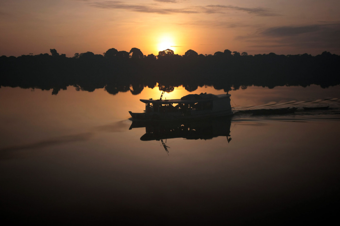 Fundo Amazônia x Fundo de Florestas: saiba a diferença entre os dois projetos
