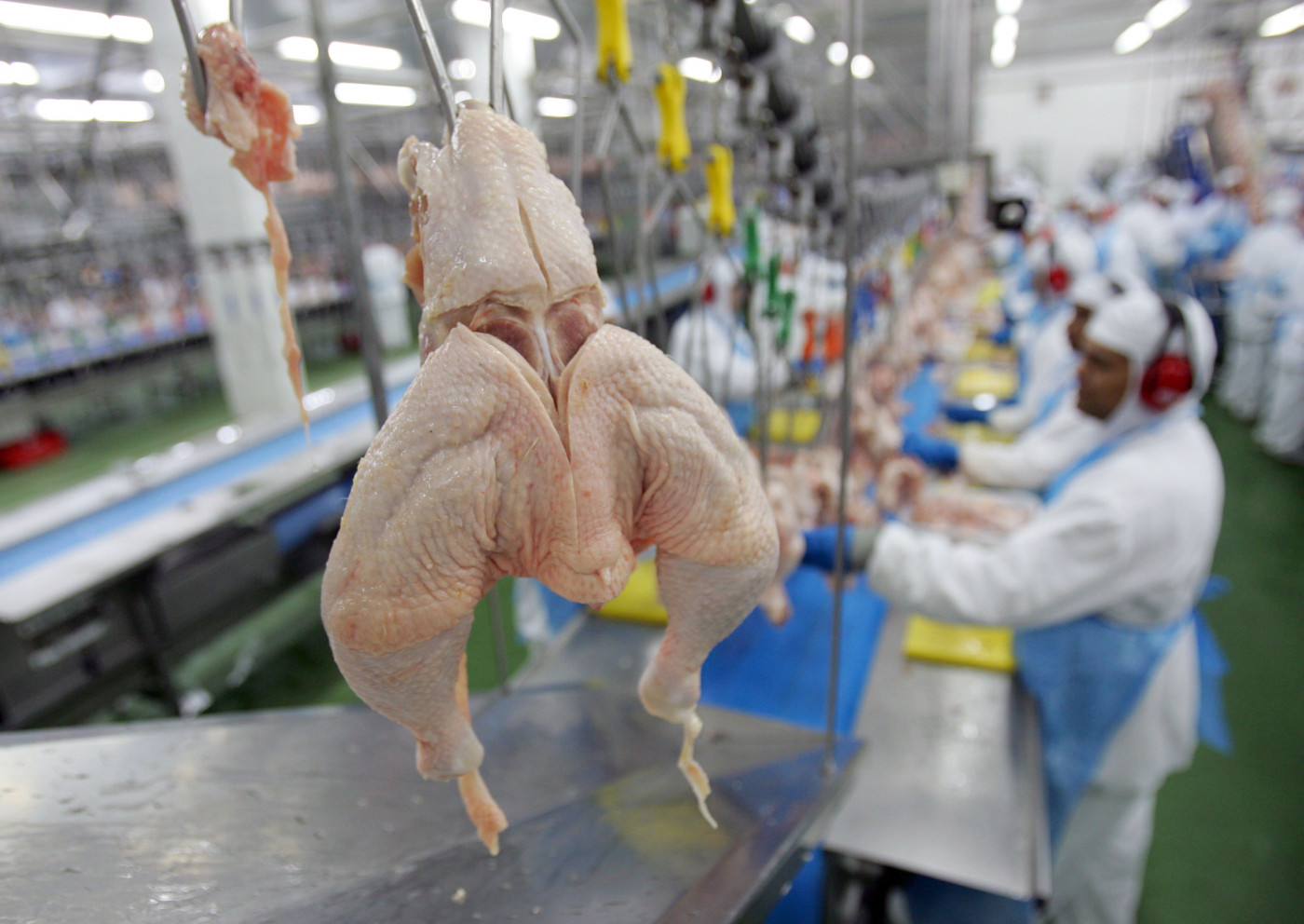 China retira proibição de importação sobre frango brasileiro após gripe aviária